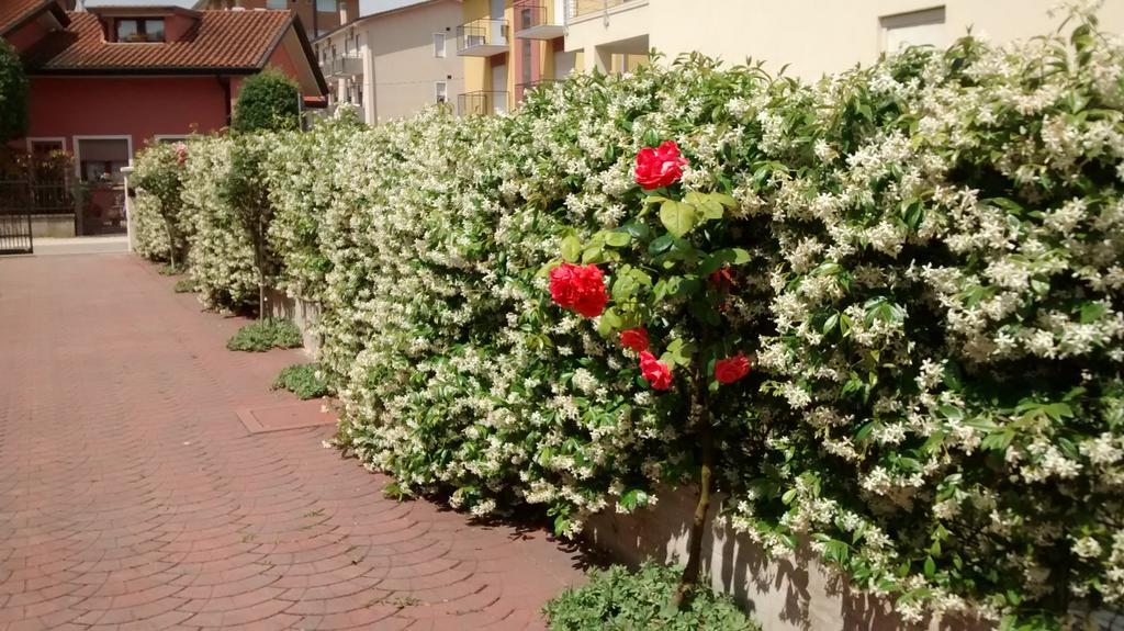 Appartamenti Bedin Lido di Jesolo Bagian luar foto